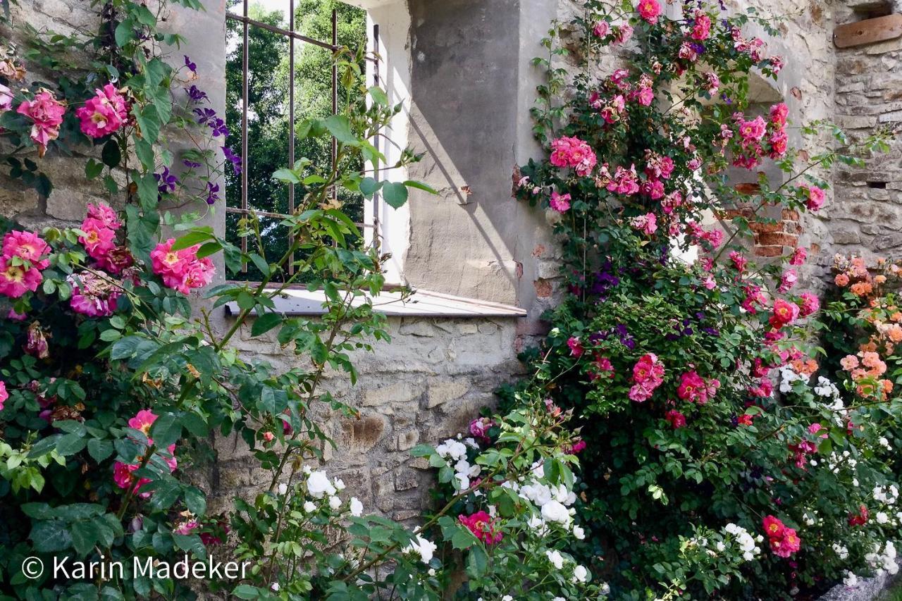 Design Ferienwohnung Mit Bauerngarten Waldkirchen Exterior foto