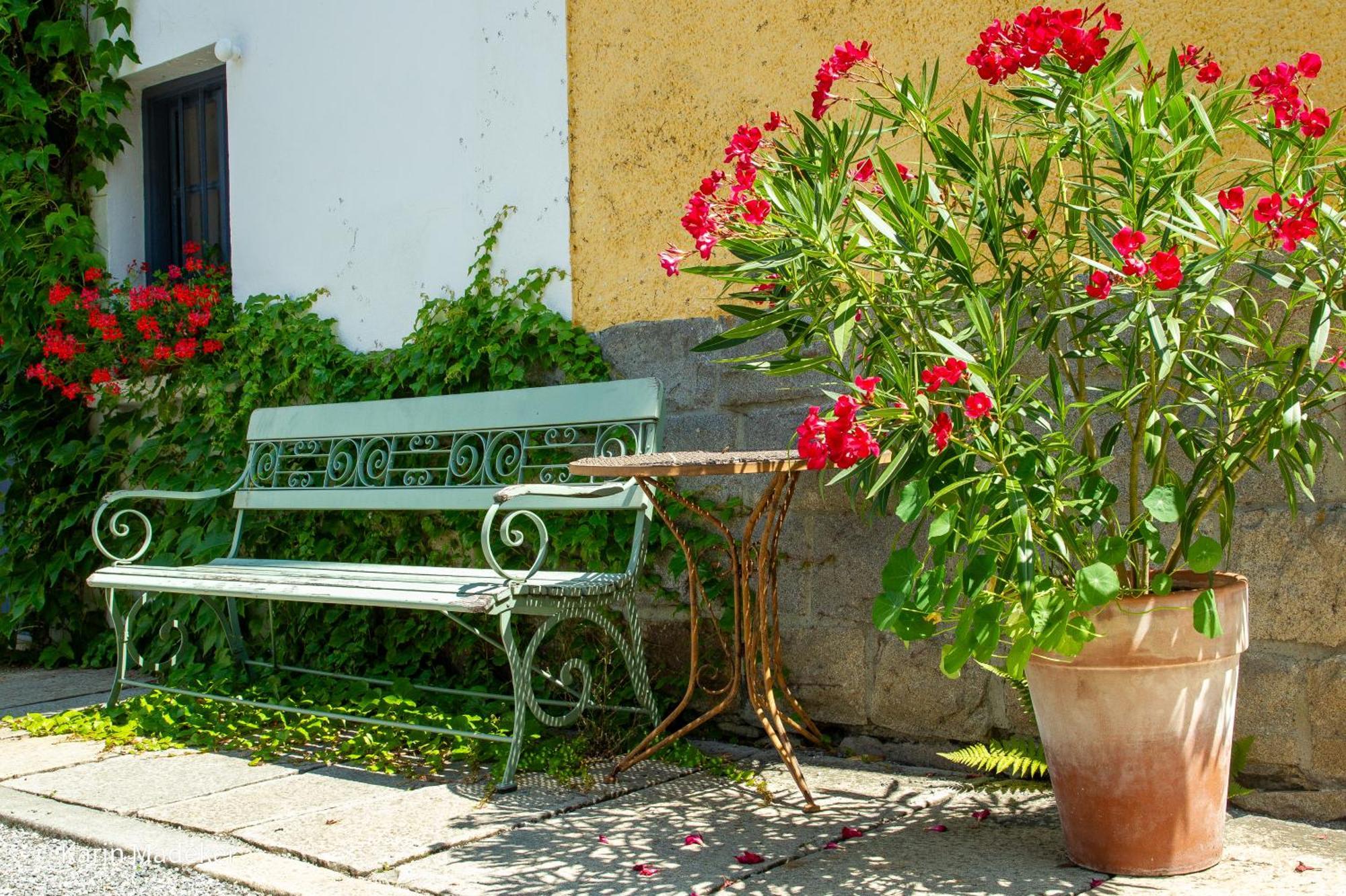 Design Ferienwohnung Mit Bauerngarten Waldkirchen Exterior foto