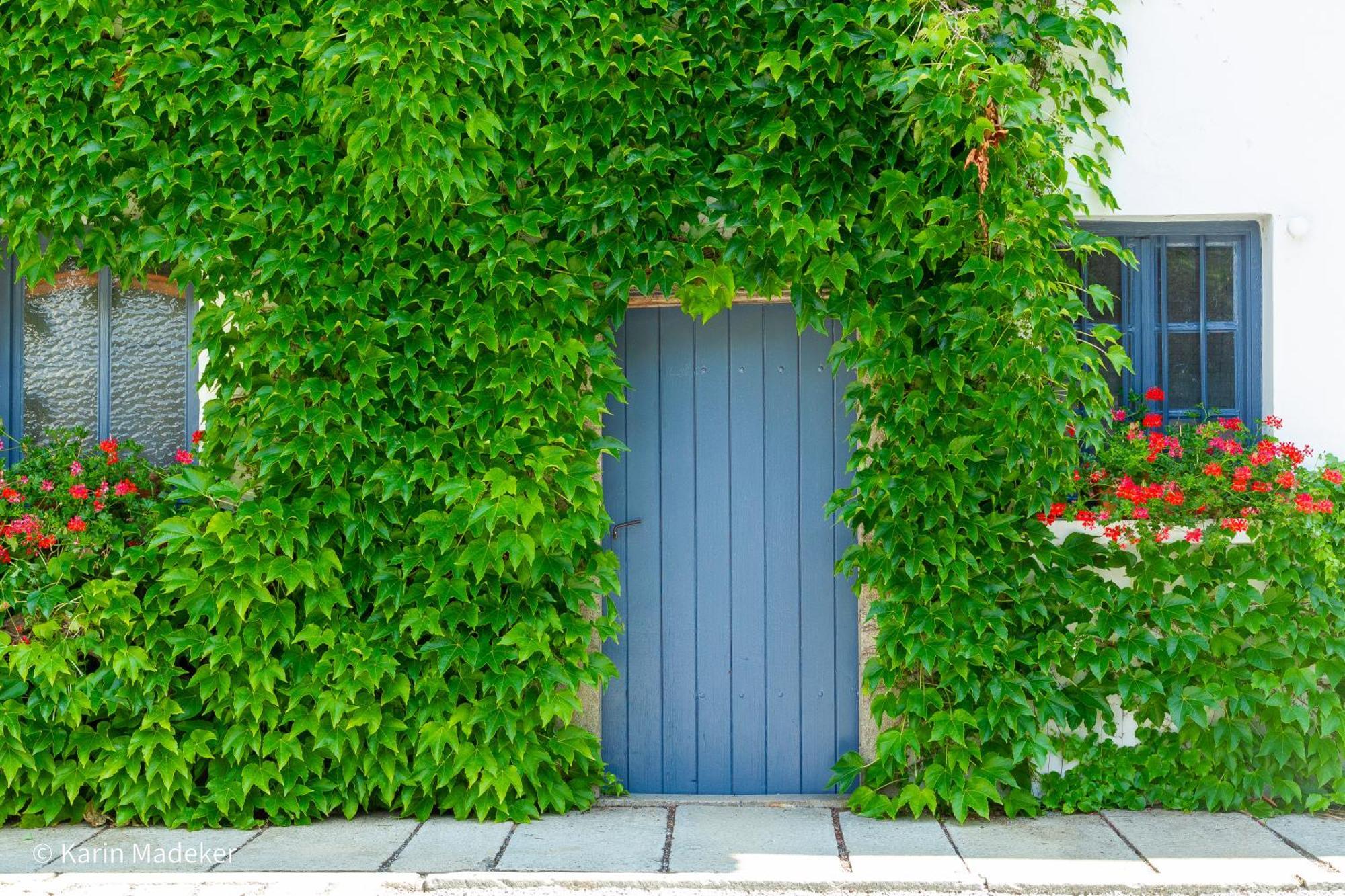 Design Ferienwohnung Mit Bauerngarten Waldkirchen Exterior foto